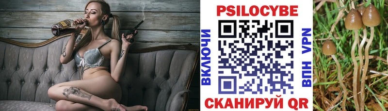 OMG онион  Сосновка  Псилоцибиновые грибы Psilocybe 