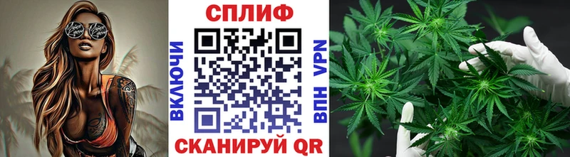 закладки  Сосновка  Каннабис White Widow 